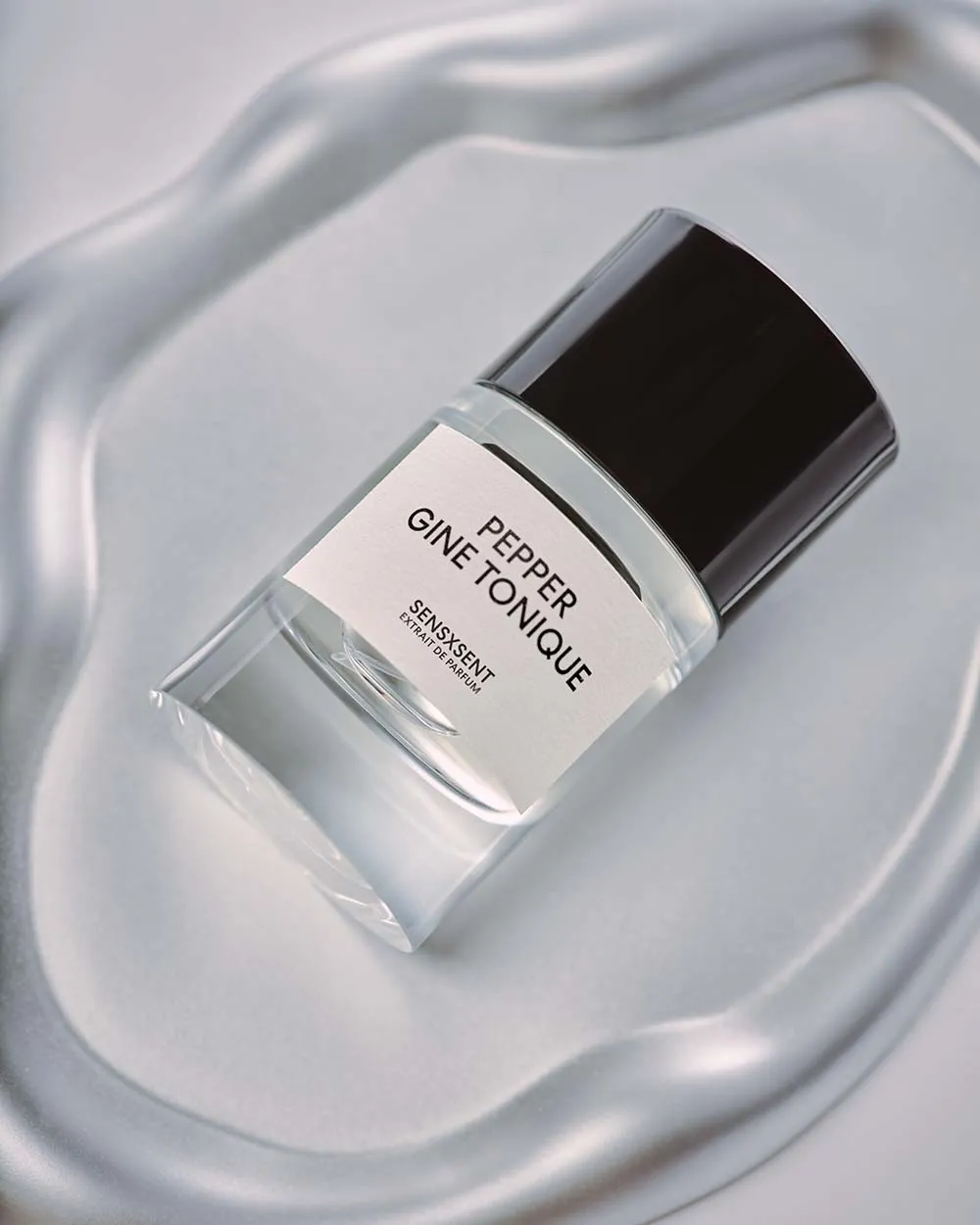 Jasmine White Morfeen - Image Contact - SES